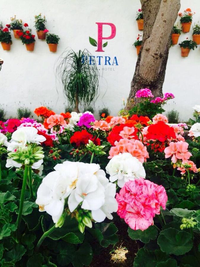 Hotel Petra San Miguel de Allende Kültér fotó